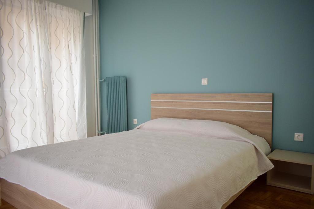Beautiful Renovated Flat In Athens公寓 外观 照片